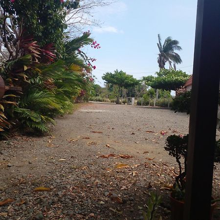 Cabanas Martina Surf Playa Guanico Pedregal Екстер'єр фото